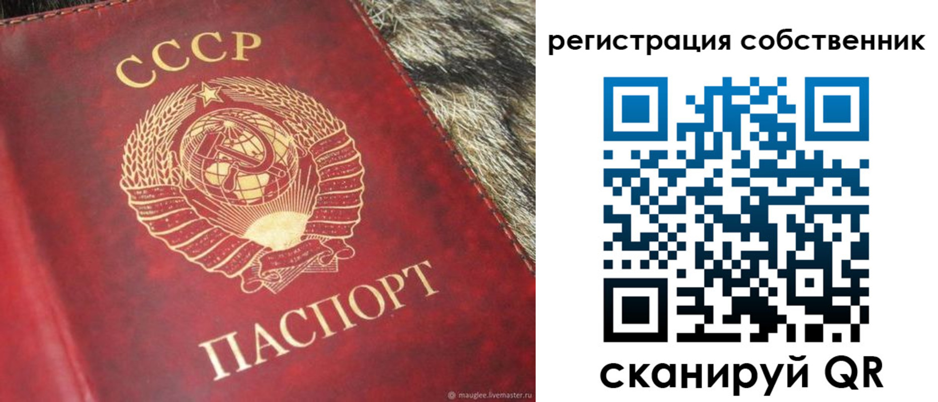 временная регистрация надежно в Палласовке